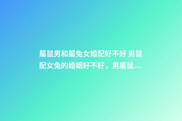 屬鼠男和屬兔女婚配好不好 男鼠配女兔的婚姻好不好，男屬鼠配女屬兔婚姻上旺不旺-第1張-觀點-玄機派
